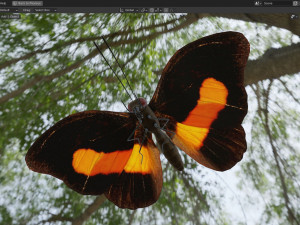 Butterfly Collection PBR Rigged Animated 3D Model
