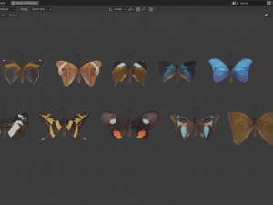 Butterfly Collection PBR Rigged Animated 3Dモデル