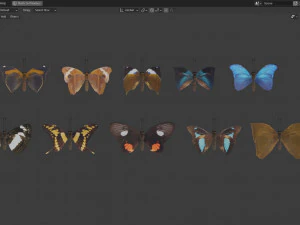 Butterfly Collection PBR Rigged Animated 3D Model