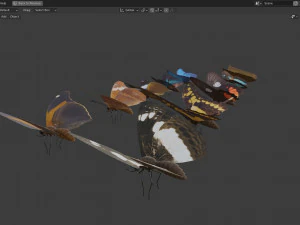 Butterfly Collection PBR Rigged Animated 3D Model