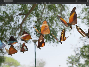 Butterfly Collection PBR Rigged Animated 3Dモデル