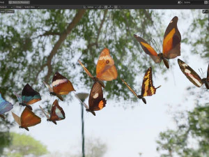 Butterfly Collection PBR Rigged Animated 3D Model