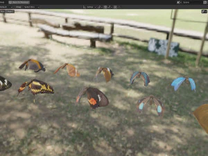 Butterfly Collection PBR Rigged Animated 3D Model