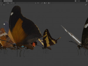 Butterfly Collection PBR Rigged Animated 3Dモデル