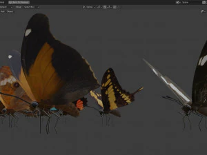 Butterfly Collection PBR Rigged Animated 3D Model
