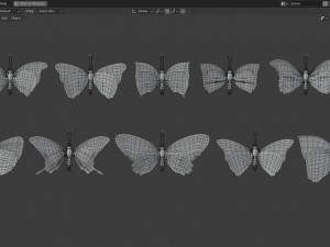 Butterfly Collection PBR Rigged Animated 3Dモデル