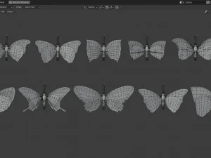 Butterfly Collection PBR Rigged Animated 3D Model