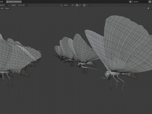Butterfly Collection PBR Rigged Animated 3Dモデル