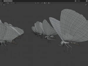 Butterfly Collection PBR Rigged Animated 3D Model