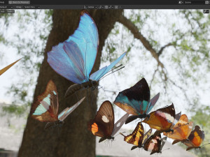 Butterfly Collection PBR Rigged Animated 3Dモデル