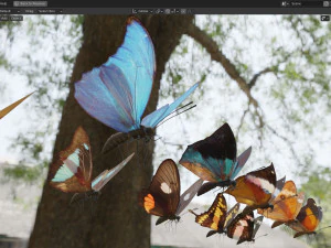 Butterfly Collection PBR Rigged Animated 3D Model