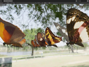 Butterfly Collection PBR Rigged Animated 3D Model