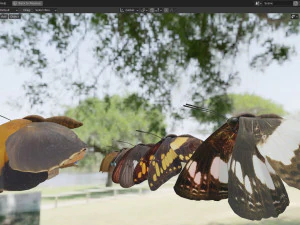 Butterfly Collection PBR Rigged Animated 3D Model