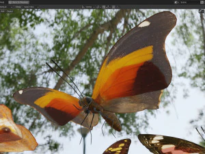 Butterfly Collection PBR Rigged Animated 3D Model