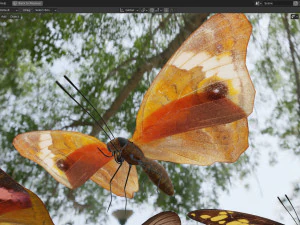 Butterfly Collection PBR Rigged Animated 3D Model
