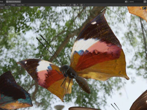 Butterfly Collection PBR Rigged Animated 3D Model