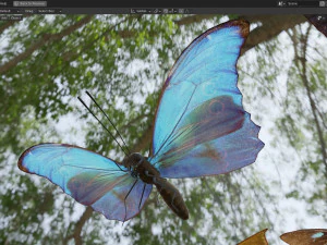 Butterfly Collection PBR Rigged Animated 3D Model