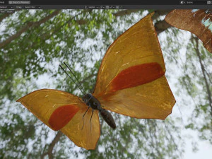Butterfly Collection PBR Rigged Animated 3D Model