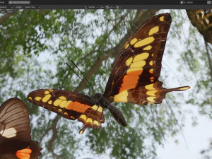 Butterfly Collection PBR Rigged Animated 3D Model