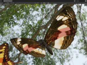 Butterfly Collection PBR Rigged Animated 3D Model