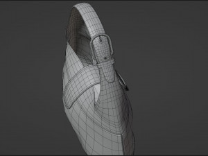 Woman Fashion Hand Bag 3D Model