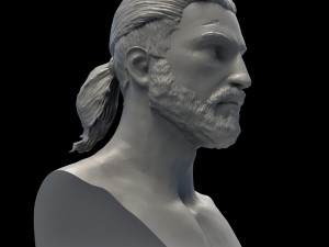 Witcher Geralt of Rivia 3D print Modello 3D