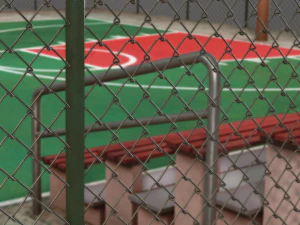 basketbalveld 3D Model