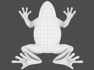 żaba drzewna Model 3D