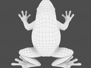 tree frog 3D Model