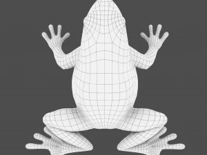 żaba drzewna Model 3D