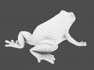 żaba drzewna Model 3D