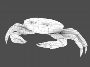 sea crab Modelo 3D