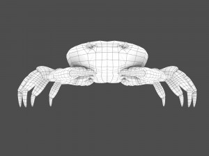 sea crab Modelo 3D