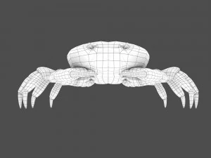 caranguejo do mar Modelo 3D