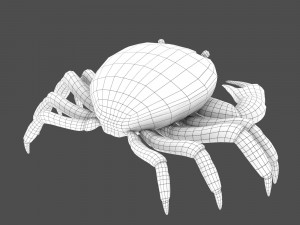 sea crab Modelo 3D
