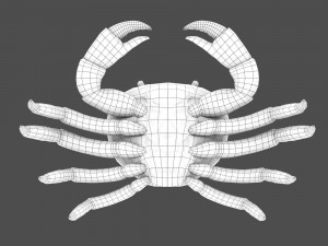 sea crab Modelo 3D