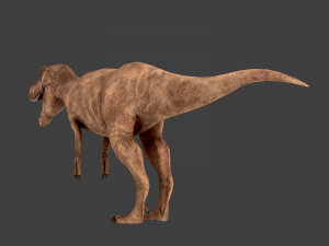 t-rex 3D Model