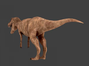 т-рекс 3D Модель