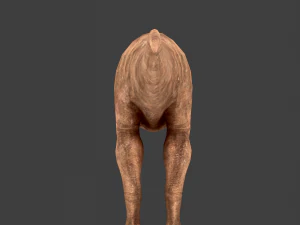 т-рекс 3D Модель