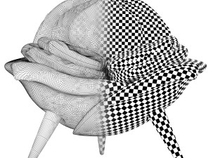 edra rose chair Modello 3D