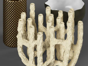 vazolar dominio 3D Model