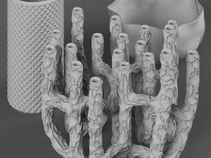 vases dominio Modello 3D