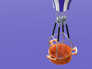 hot air balloon 3D Model