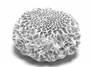 butterfly egg 3D Model