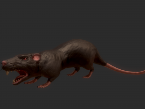 ratstylizedrig 3D Model