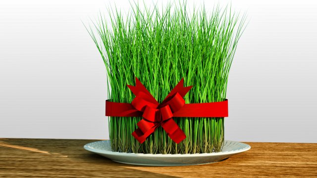 Samani 3D 3D Model .c4d .max .obj .3ds .fbx .stl .blend 