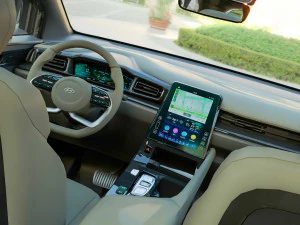 Hyundai Custo 3D Model