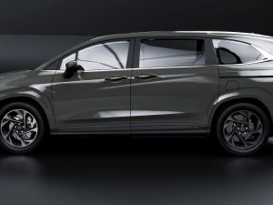 Hyundai Custo 3D Model