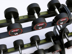 Rack GYM80 3D Model
