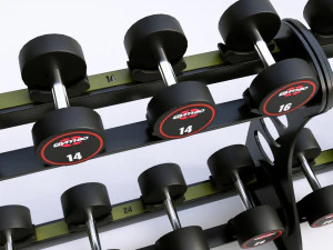 Rack GYM80 3D Model